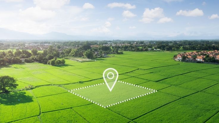 whatsapp image 2025 07 23 at 13.03.01